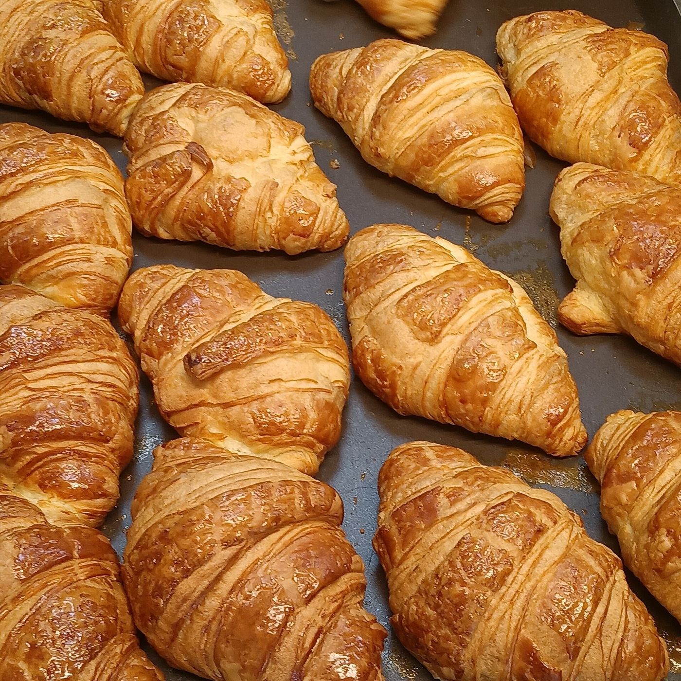 Imagem ilustrativa: croissants em assadeira