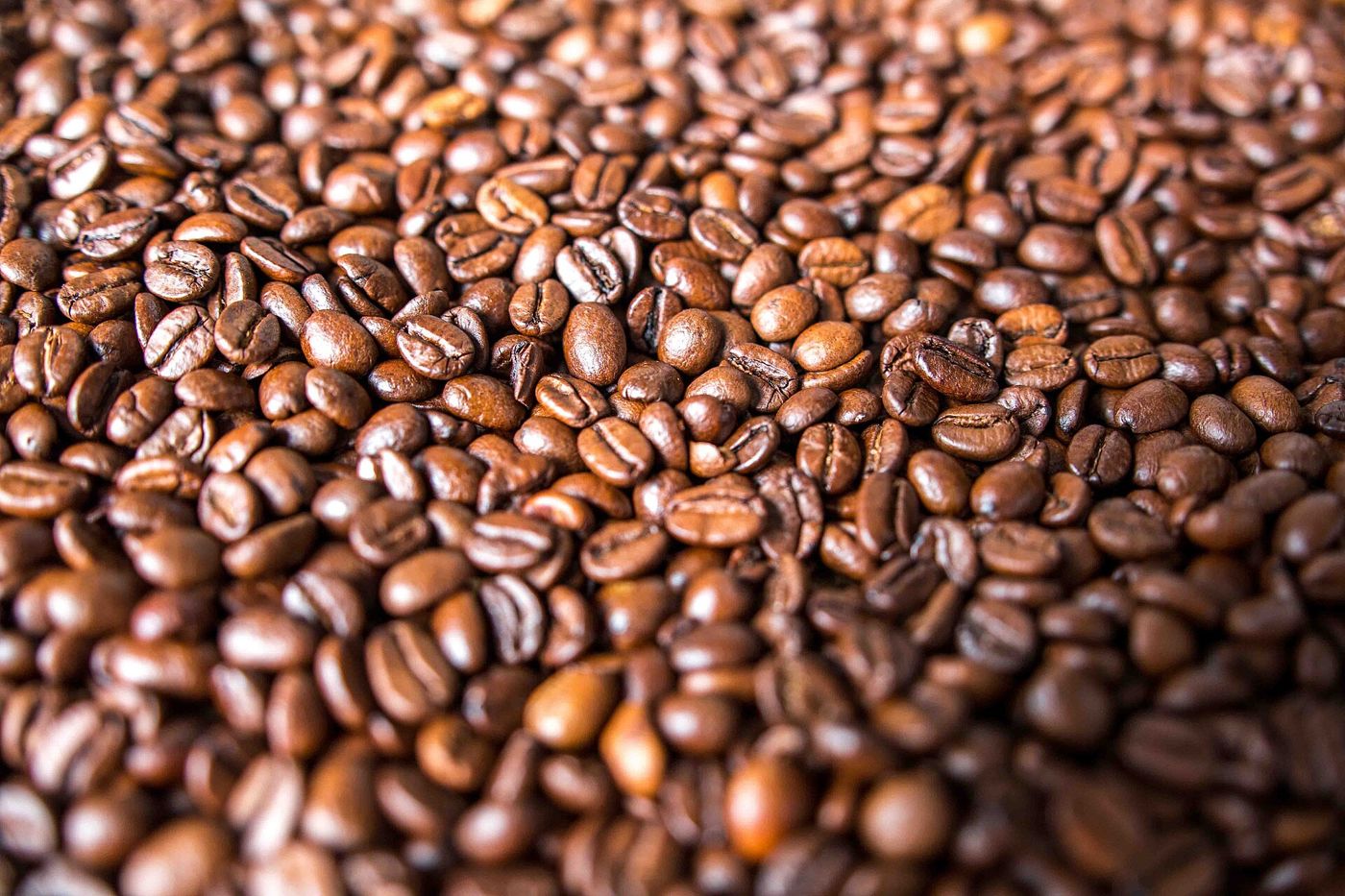 Imagem ilustrativa: grãos de café torrados