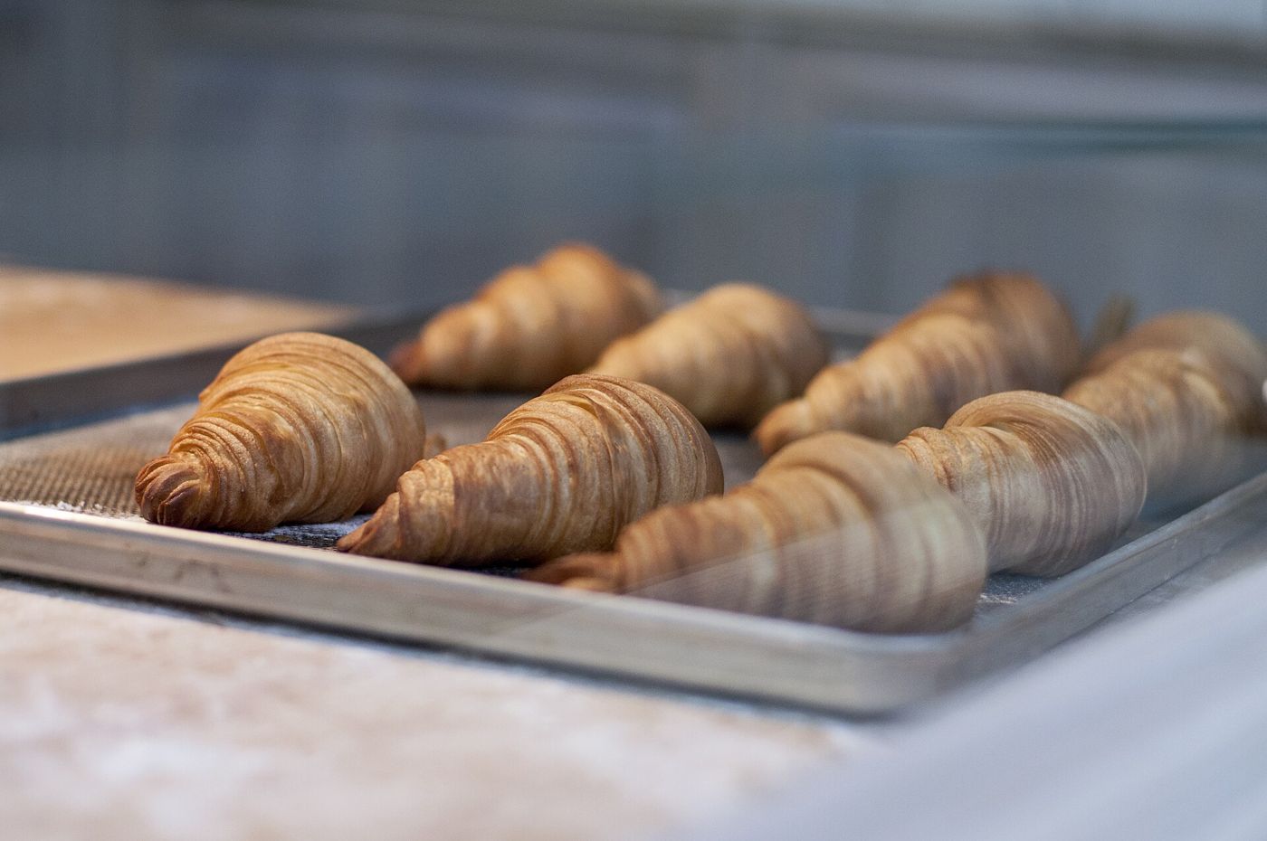 Imagem ilustrativa: croissants em bandeja de padaria